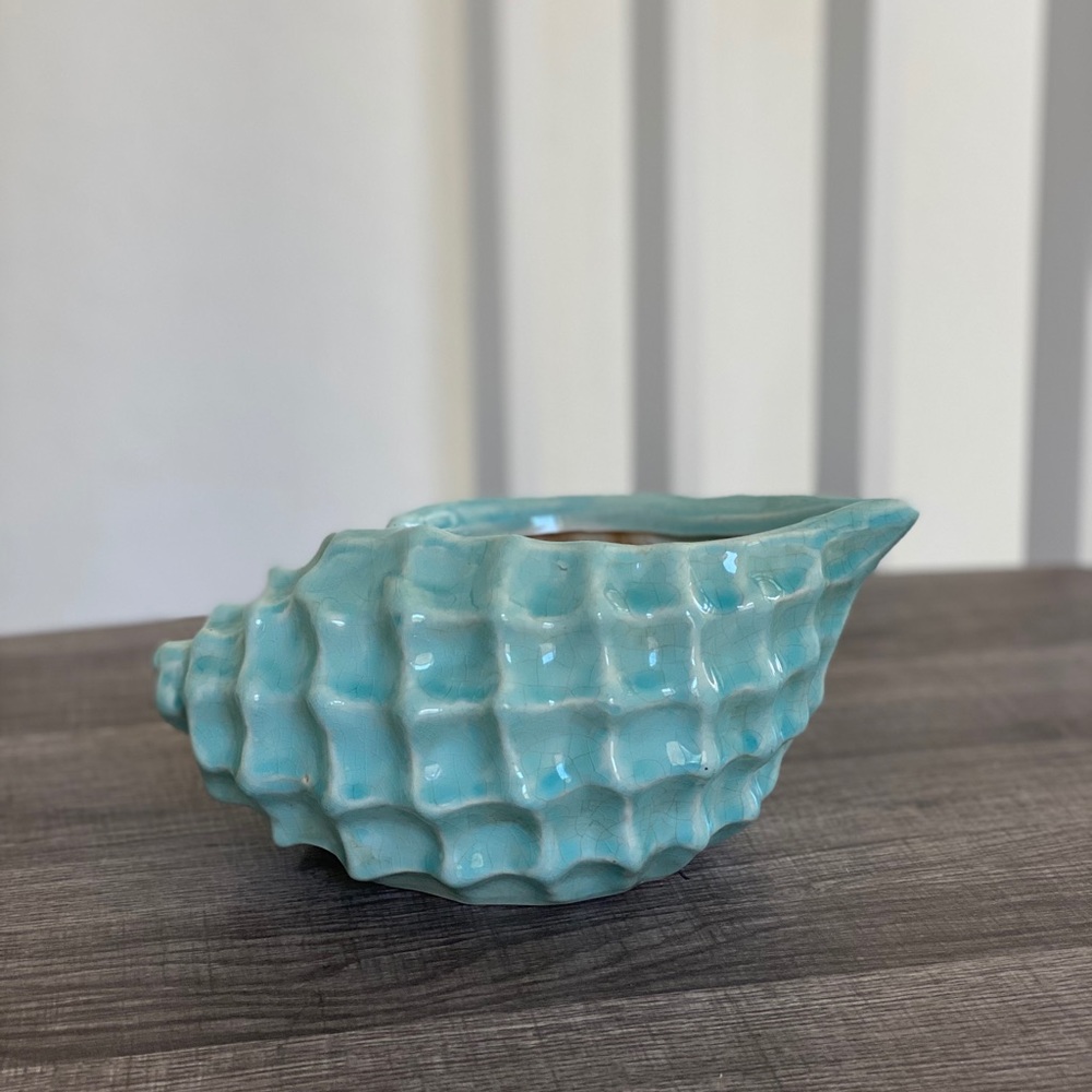 Blue Shell Vase 🐚
